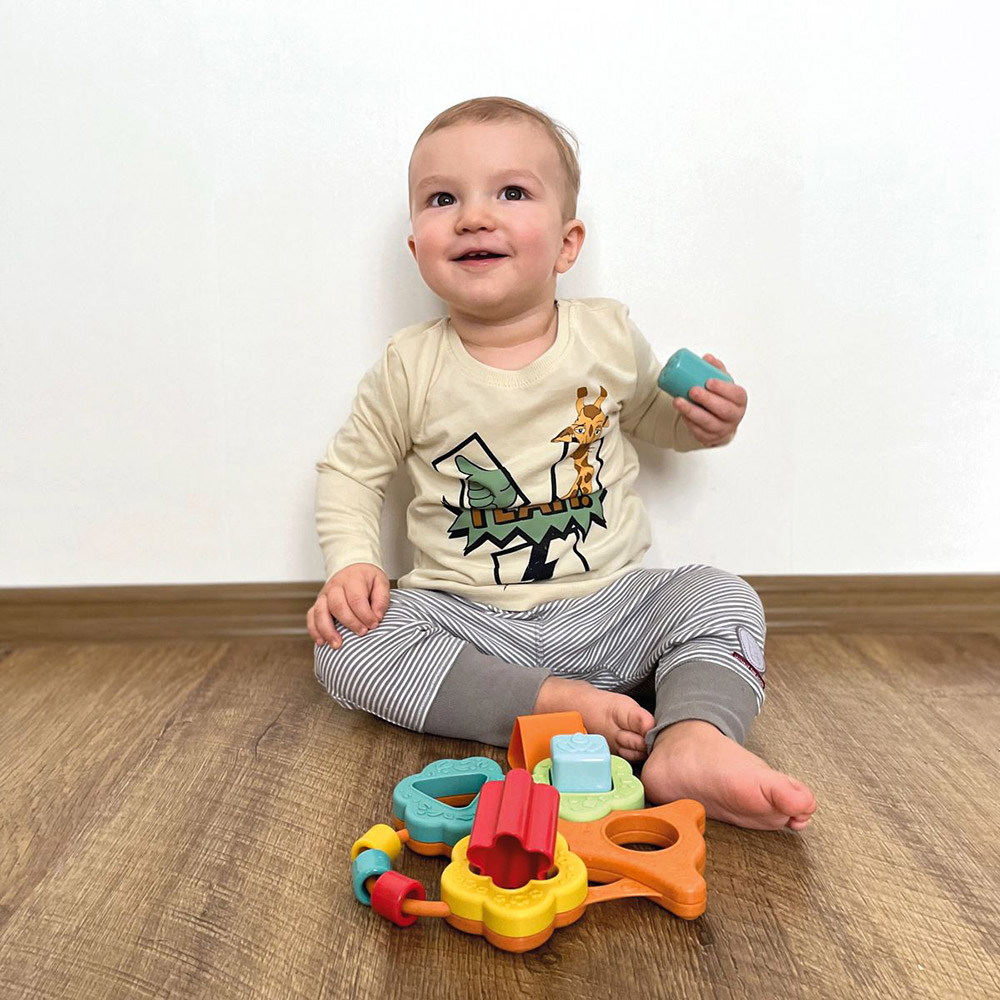 Фото Сортер Chicco Баобаб (10493.00)