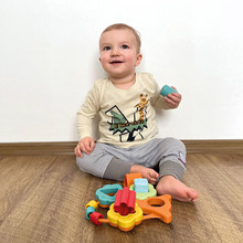 Сортер Chicco Баобаб (10493.00)