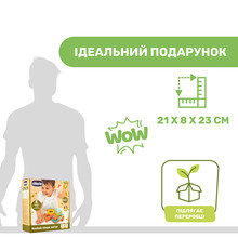 Сортер Chicco Баобаб (10493.00)