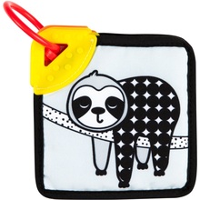 Мягкие карточки с прорезывателем для зубов CANPOL BABIES BabiesBoo (68/096)