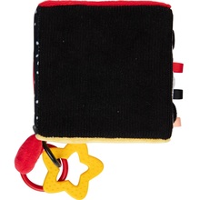 Іграшка м'який контрастний сенсорний кубик CANPOL BABIES BabiesBoo (68/098)