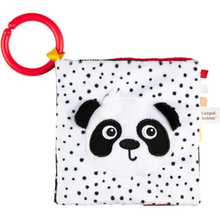 Іграшка-книжечка CANPOL BABIES BabiesBoo (68/097)