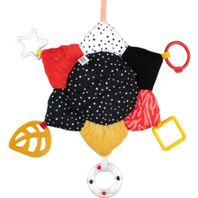 Іграшка-дзеркальце CANPOL BABIES BabiesBoo (68/099)