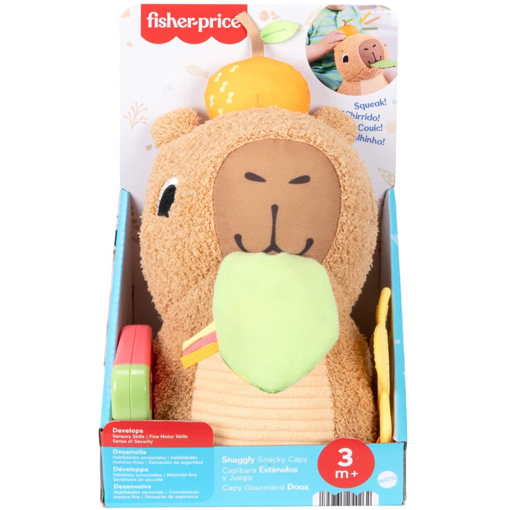 Фото Розвиваюча іграшка FISHER-PRICE Капібара (HYR54)