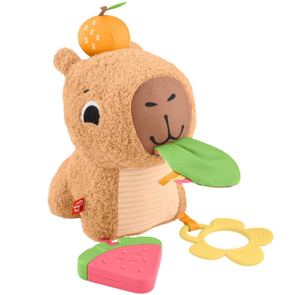 Розвиваюча іграшка FISHER-PRICE Капібара (HYR54)