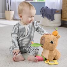 Розвиваюча іграшка FISHER-PRICE Капібара (HYR54)