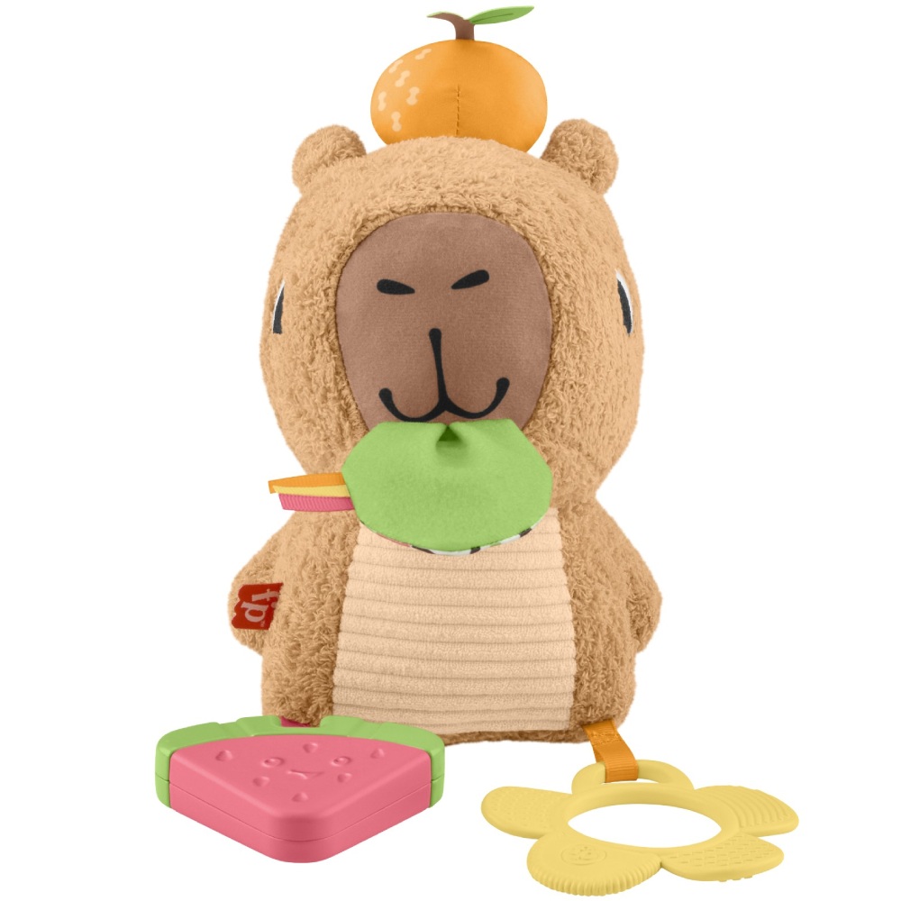 Розвиваюча іграшка FISHER-PRICE Капібара (HYR54) Вік від 3 місяців