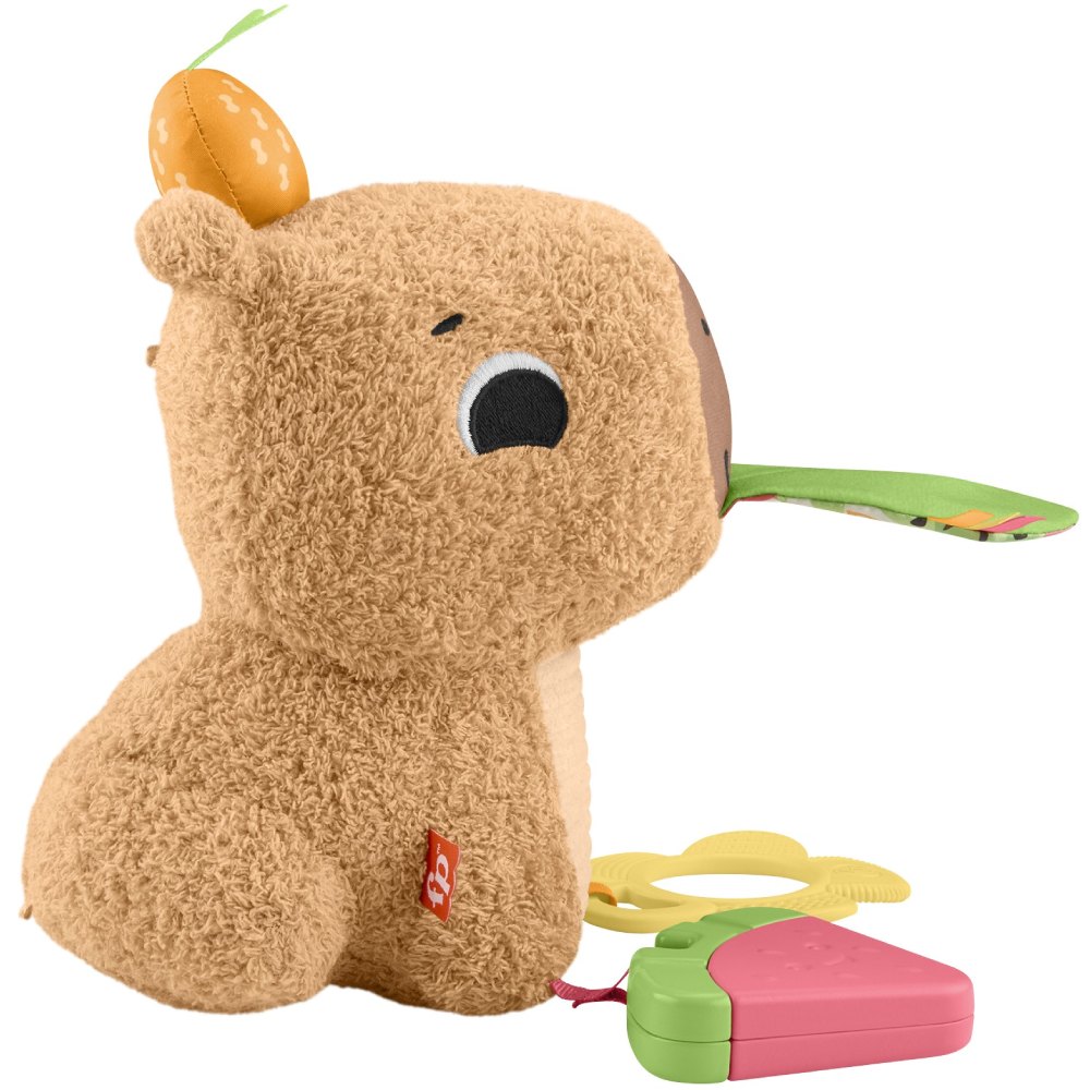 Розвиваюча іграшка FISHER-PRICE Капібара (HYR54) Вид тварини капібари
