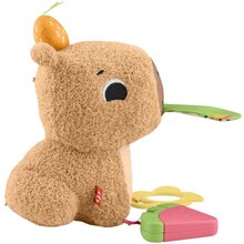 Розвиваюча іграшка FISHER-PRICE Капібара (HYR54)