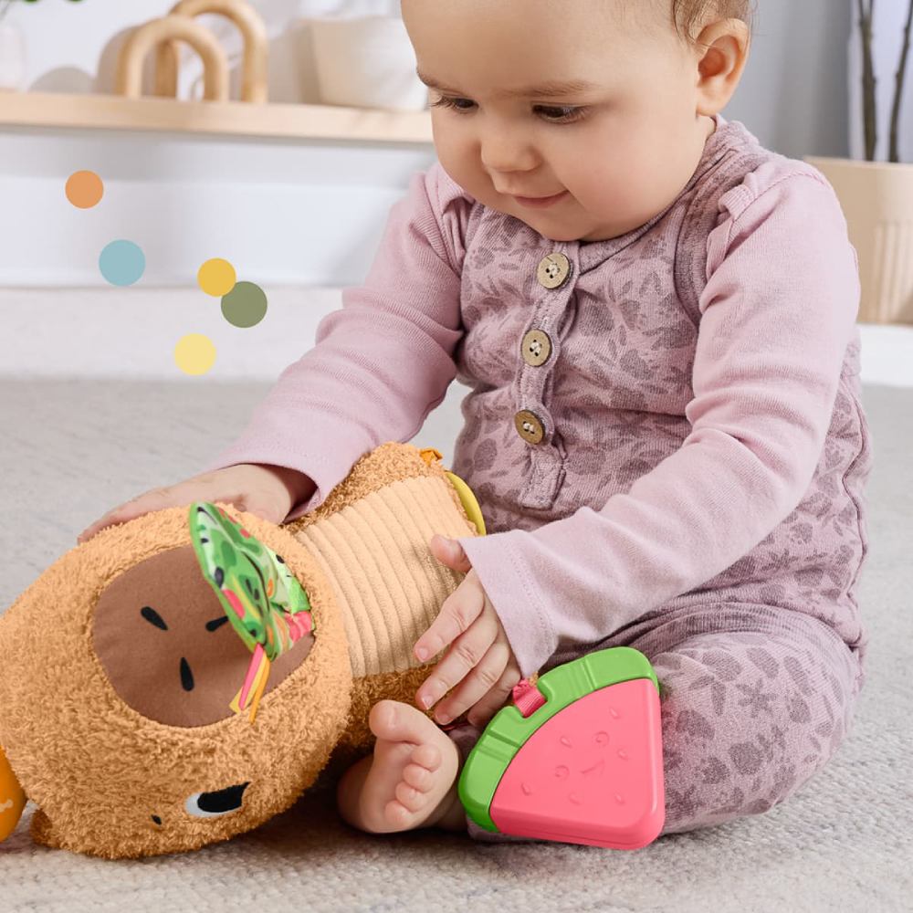 Покупка Розвиваюча іграшка FISHER-PRICE Капібара (HYR54)