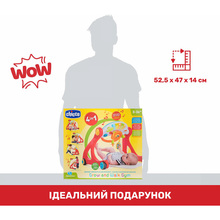 Игровой развивающий центр CHICCO Grow and Walk (09335.00)