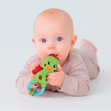 Брязкальце CLEMENTONI Little Dragon (17779)