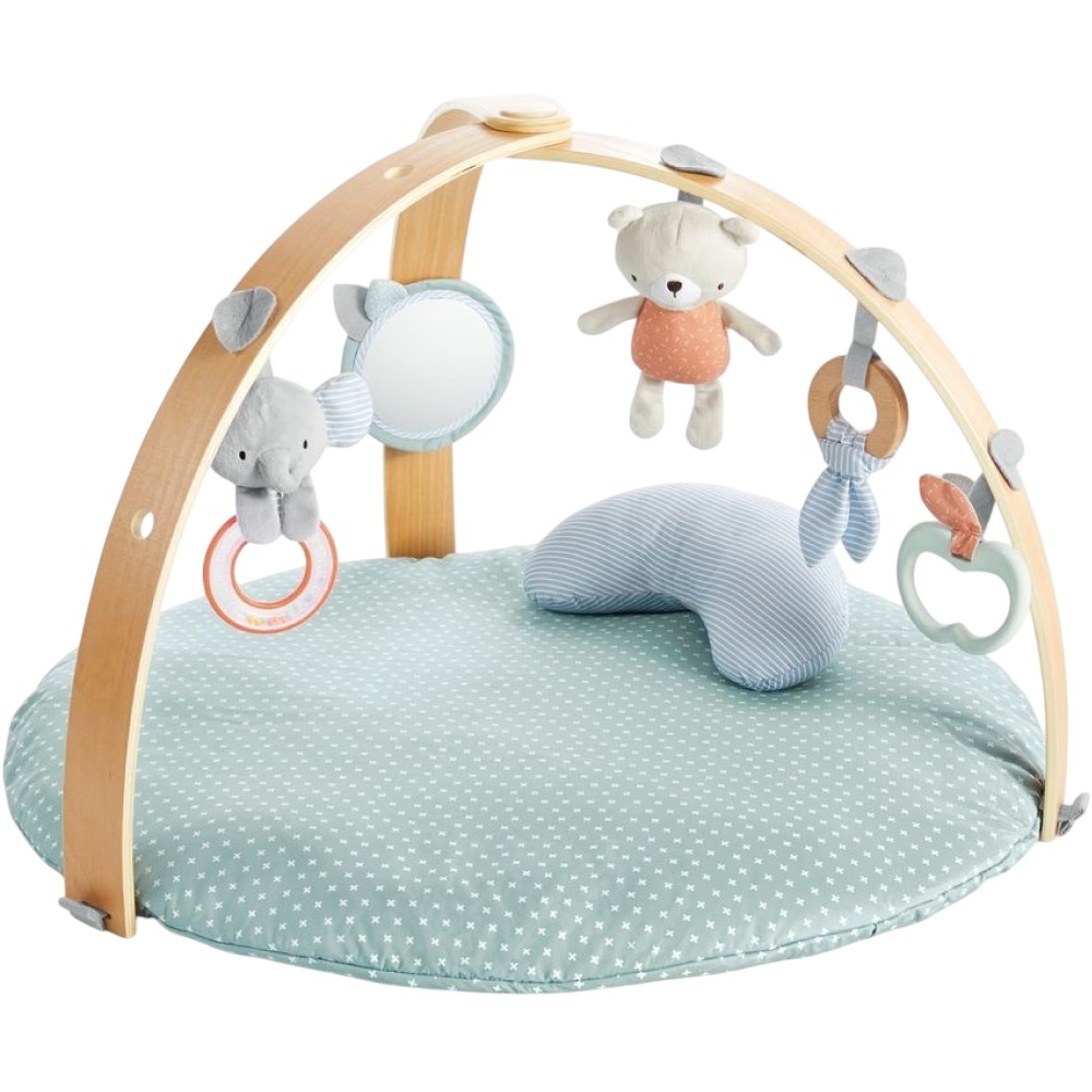 Розвиваючий килимок INGENUITY Cozy Spot (12126)