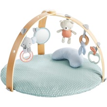 Розвиваючий килимок INGENUITY Cozy Spot (12126)