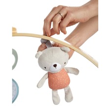 Розвиваючий килимок INGENUITY Cozy Spot (12126)