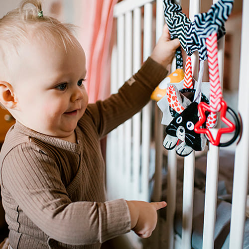 Подвеска BABYONO Мышонок и сыр (797) Возраст с рождения