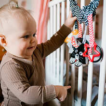 Подвеска BABYONO Мышонок и сыр (797)