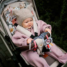 Подвеска BABYONO Мышонок и сыр (797)