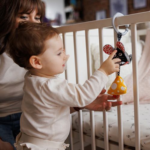 Подвеска BABYONO Мышонок и сыр (1676) Вид животного мыши