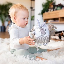 Розвиваюча іграшка BABYONO Коала Коко (1637)