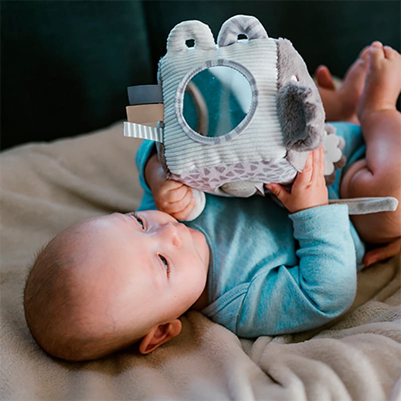 Фото Розвиваюча іграшка BABYONO Коала Коко (1637)