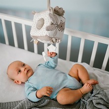 Розвиваюча іграшка BABYONO Коала Коко (1637)