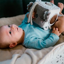 Розвиваюча іграшка BABYONO Коала Коко (1637)