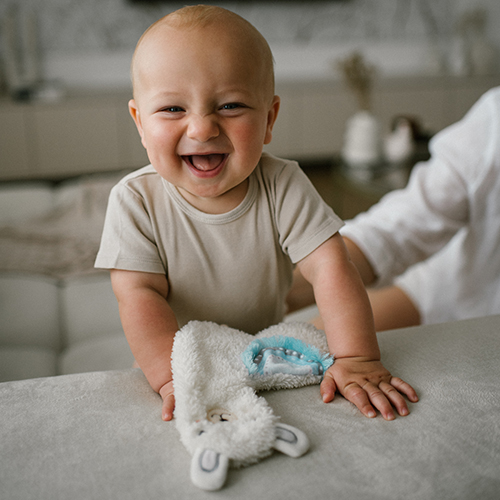 Игрушка-обнимашка BABYONO Лама Лулу Light Blue (1557/02) Вид животного ламы