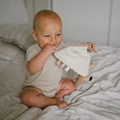 Игрушка-обнимашка BABYONO Коала Чарли (1559) Возраст с рождения