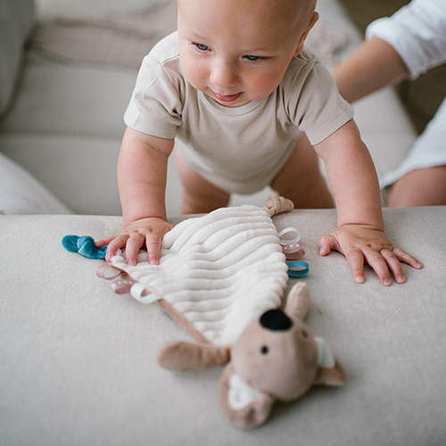 Игрушка-обнимашка BABYONO Коала Чарли (1559) Вид животного коалы