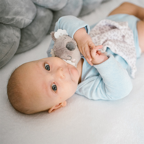 Игрушка-обнимашка BABYONO Коала Коко (1635) Развивающие игрушки, центры, кресла погремушка