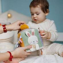 Развивающая игрушка BABYONO Куб Природа (1680)