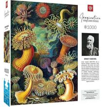 Пазл GOODLOOT Imagination: Ernst Haeckel Sea Anemones/Stworzenia morskie 1000 эл (5908305244943)