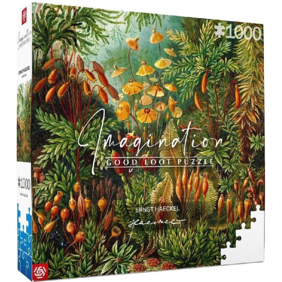 Пазли GOODLOOT Imagination: Ernst Haeckel Muscinae Puzzles 1000 ел (5908305239642)