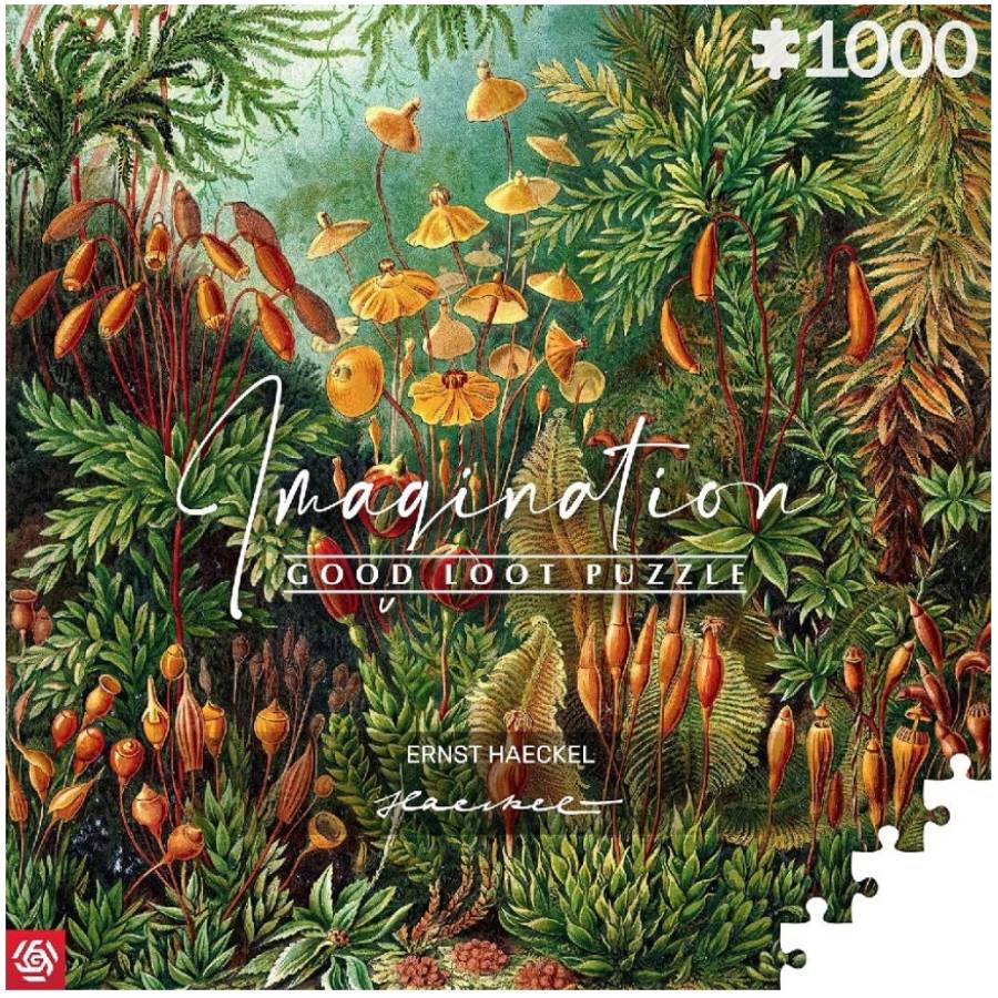 Пазли GOODLOOT Imagination: Ernst Haeckel Muscinae Puzzles 1000 ел (5908305239642) Для кого універсально