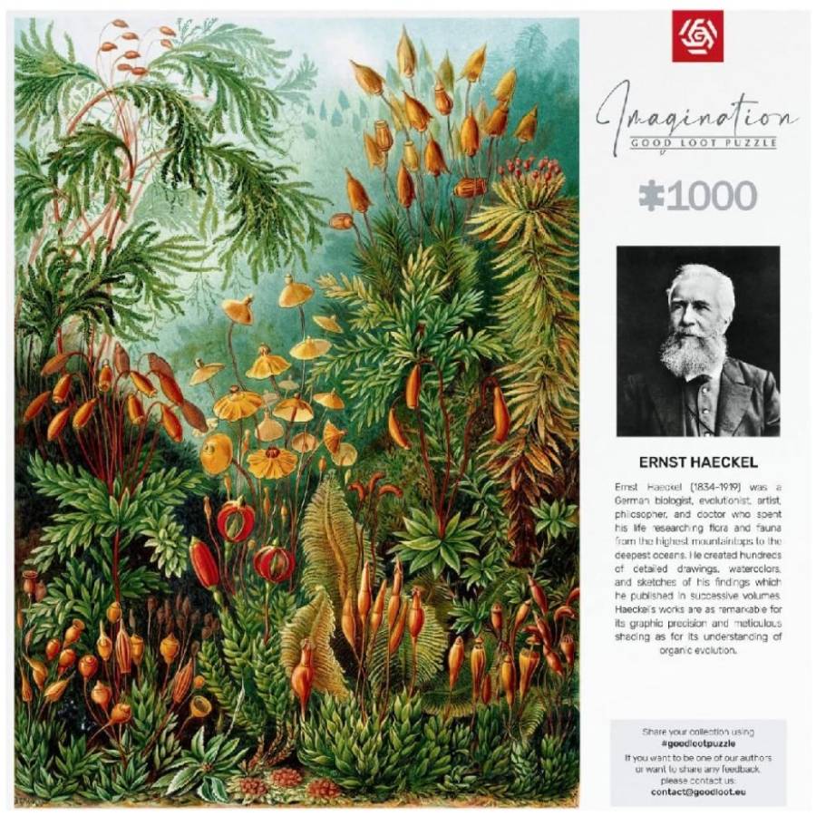 Пазли GOODLOOT Imagination: Ernst Haeckel Muscinae Puzzles 1000 ел (5908305239642) Вік від 8 років