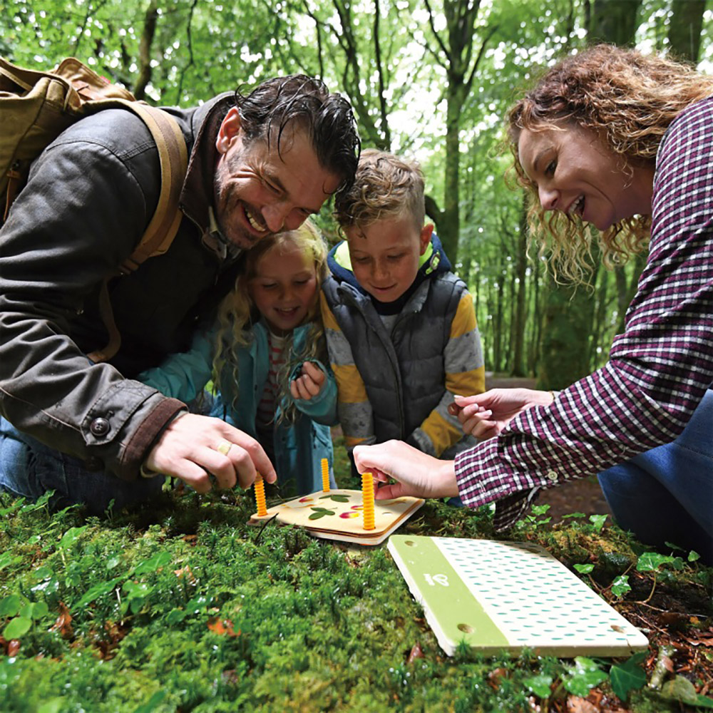 Набір натураліста HAPE Nature Fun Гербарій з фарбами (E5574) Предмет вивчення навколишній світ