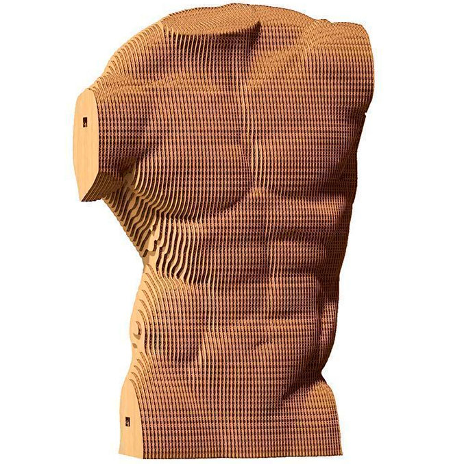 3D пазл CARTONIC TORSO M 101 ел (CARTTORS) Предмет вивчення логіка