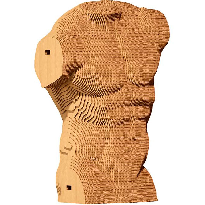 3D пазл CARTONIC TORSO M 101 эл (CARTTORS)