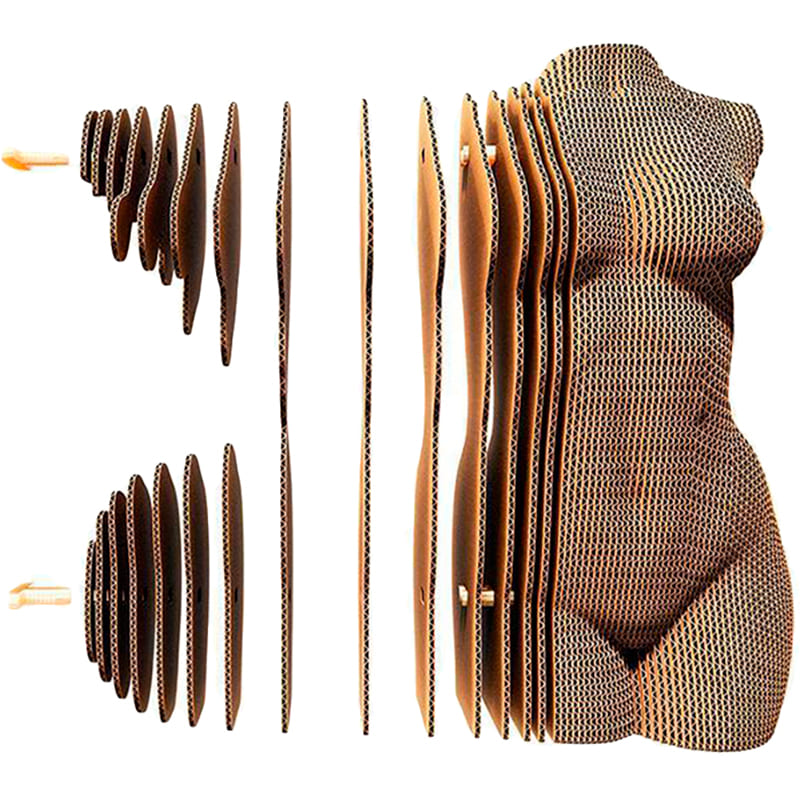 3D пазл CARTONIC FEMALE TORSO 75 эл (CARTTORSW) Пазлы трехмерный