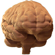 3D пазл CARTONIC BRAIN 92 эл (CARTBRAIN)