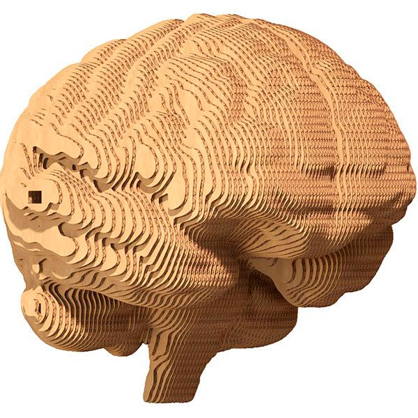 3D пазл CARTONIC BRAIN 92 эл (CARTBRAIN)