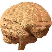 3D пазл CARTONIC BRAIN 92 ел (CARTBRAIN)