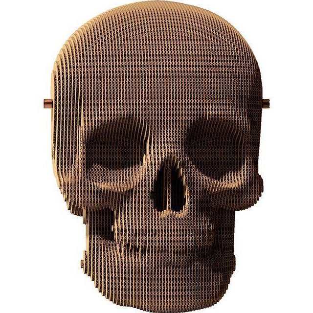 3D пазл CARTONIC SKULL 72 эл (CARTSKUL) Предмет изучения логика 