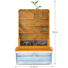 Набір 4M Вирощування рослин та експерименти Лабіринт (00-03352)