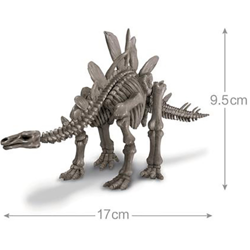 Набор для исследований 4M Скелет стегозавра (00-03229) Материал пластик