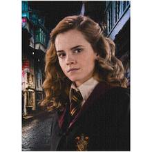 Пазл DoDo Hard-M Harry Potter Портрет Гермионы 450 эл (200577)