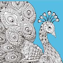 Набор для росписи-антистресс STRATEG Краски перьев 30х30 см (JCEE37117)