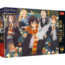 Пазл TREFL Premium Plus Harry Potter 1000 эл (5900511120820)