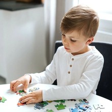 Пазл TREFL Транспортний засіб 60 ел. (5900511164923)